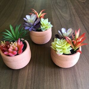 Small artificial succulents